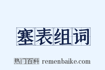 塞表组词是什么意思的图片